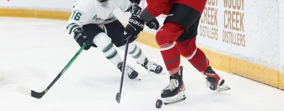 В NHL 25 появится женская хоккейная лига