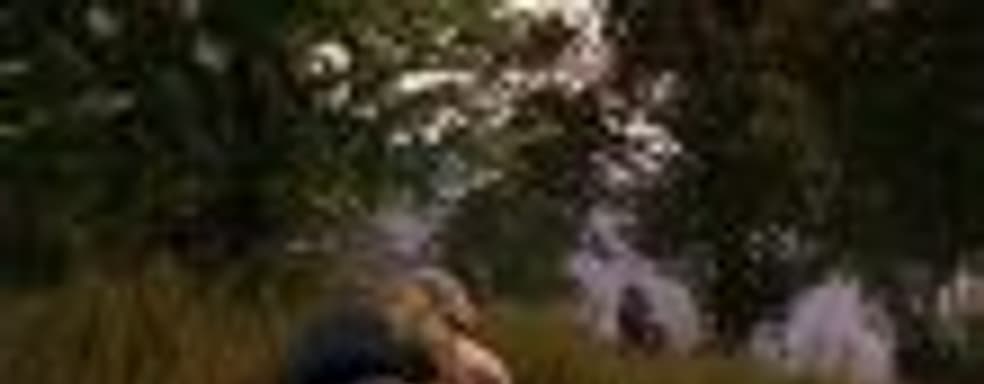 PlayerUnknown Battlegrounds могут запретить в Китае