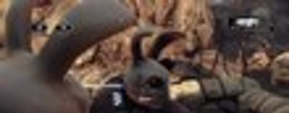 Пасха в бета-тесте Gears of War 3