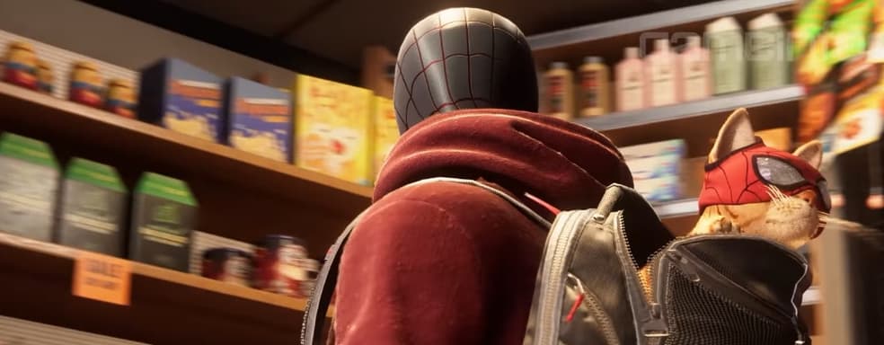 Милый котик в Spider-Man: Miles Morales. Кот-паук поможет герою