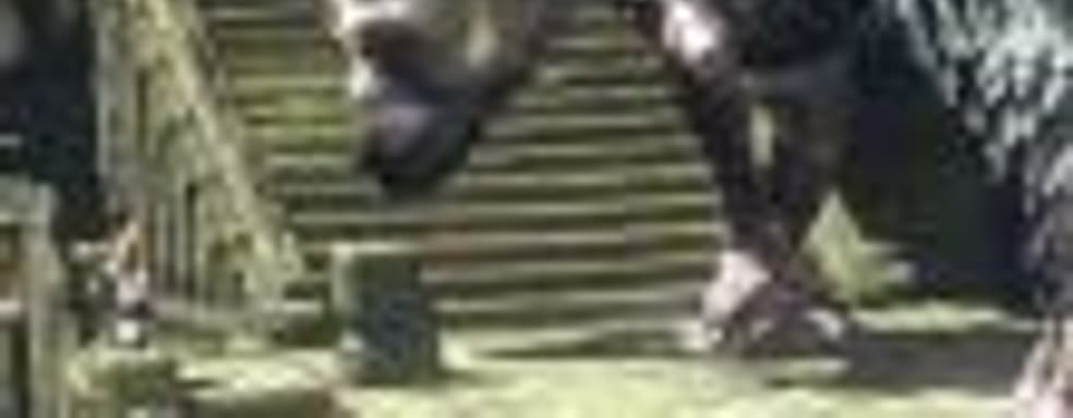 Представитель Sony считает, что The Last Guardian оправдает все ожидания