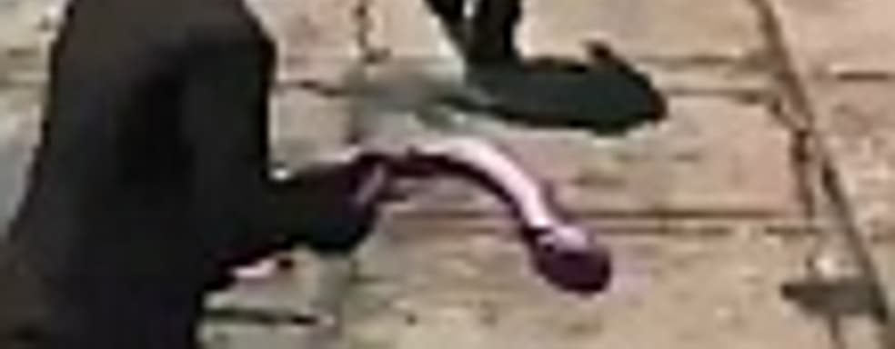 Saints Row: The Third: пурпурный член и другое оружие массового поражения