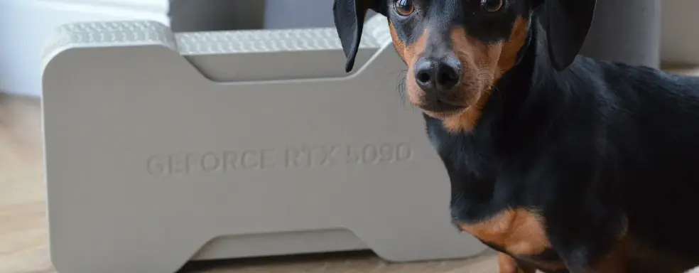 Журналисты распаковали GeForce RTX 5090 Founders Edition. Кейс от видеокарты понравился даже собаке