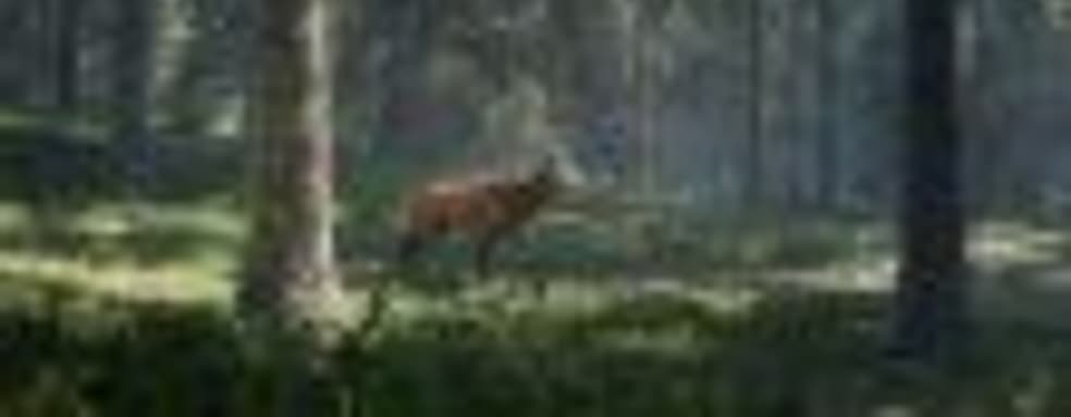 Симулятор охотника theHunter: Call of the Wild появится на PS4 и Xbox One