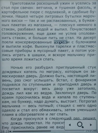 Электронная книга Digma S676