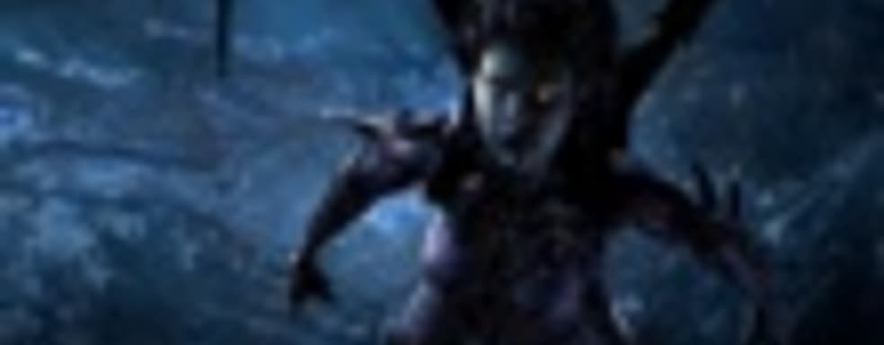 StarCraft 2: Heart of the Swarm получит систему набора уровней