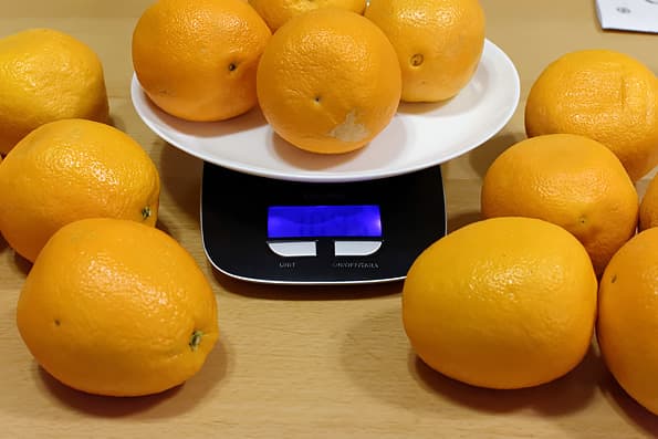 Соковыжималка для цитрусовых Steba ZP 2