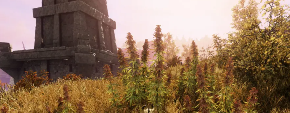 Разработчики New World случайно удалили часть контента. Игроки потеряли снаряжение для сбора урожая