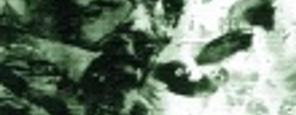 Слух: дата выхода Metal Gear Solid HD Collection