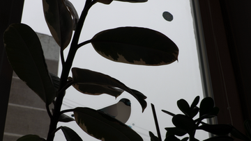 Видеокамера Canon XC10