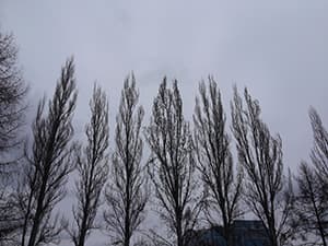 Фотографии смартфона LG Optimus G Pro