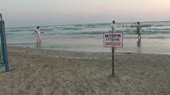 Movavi Video Converter 3D