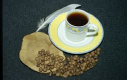 Негатив Kodak Pro100