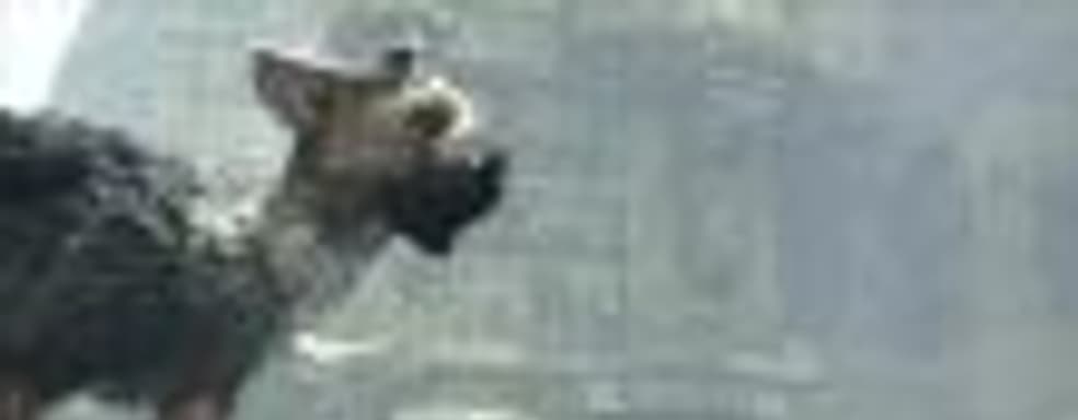 TGS-трейлер The Last Guardian