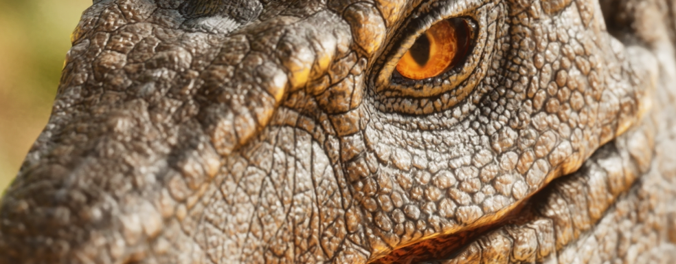 Ремастер Ark Survival Evolved на UE5: первый взгляд на динозавра в Ark Survival Ascended