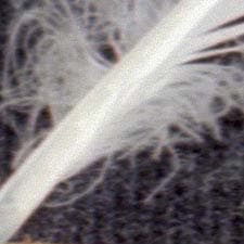 Фрагмент увеличен