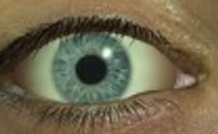 Lost: Via Domus - приключенческая игра по мотивам сериала "Остаться в живых"