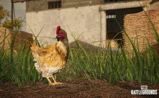 В PUBG появились куры, которые «сливают информацию» об игроках