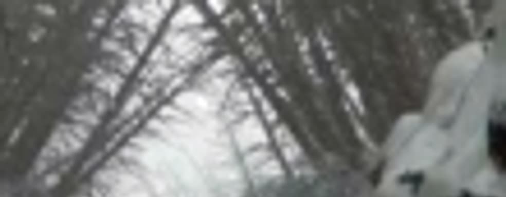 Kholat: тихо в лесу