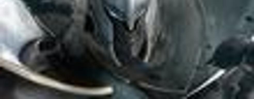 White Knight Chronicles перенесут? Вряд ли