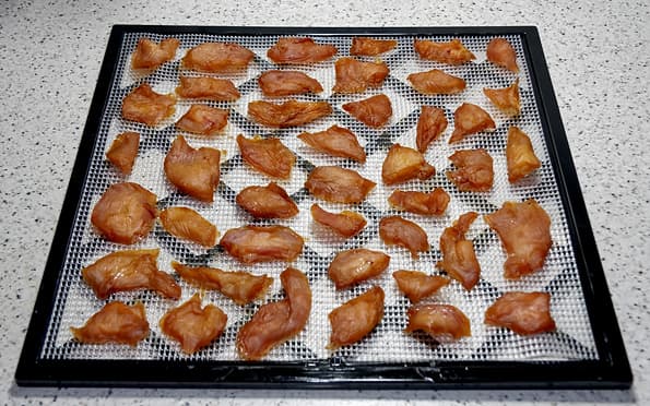 дегидратор Excalibur 4948CDBF