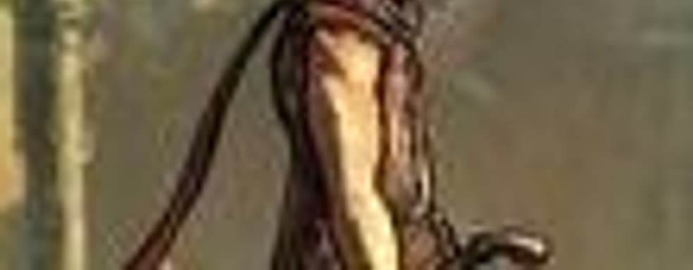 Prince of Persia могут перенести на 2009 год