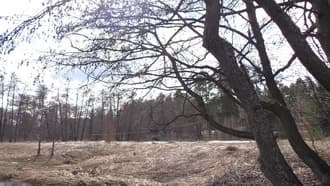 Видеокамера Panasonic HC-W850