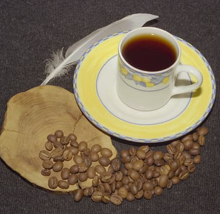 Epson Perfection V700 Photo