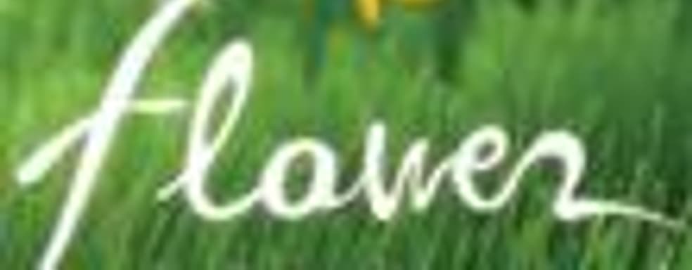 Flower для PSN - новый жанр