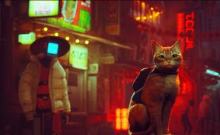 Во что поиграть в июле? Stray, Xenoblade Chronicles 3, Loopmancer!