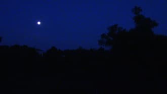 Видеокамера Canon Legria HF-R56