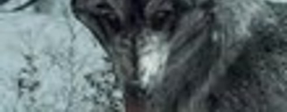 Call of Duty: Ghosts - волчий скин для пса