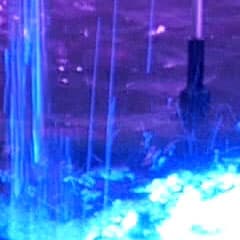 Видеосъемка фотоаппаратом Panasonic DMC-G7