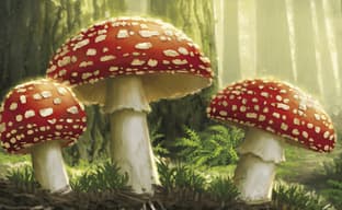 Симбиотическое господство: открылся предзаказ на настольную стратегию «Грибы и корни»