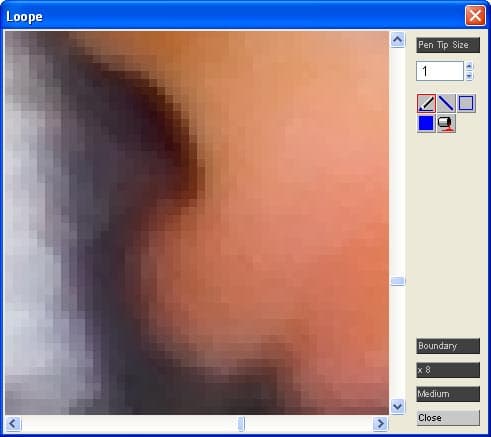 Увеличение локального участка изображения в Pixia