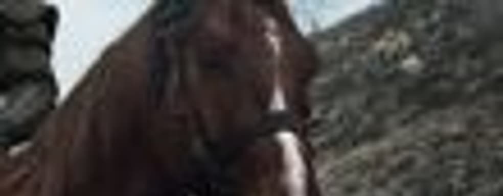 Плотва и Геральт на новом кадре телесериала The Witcher от Netflix