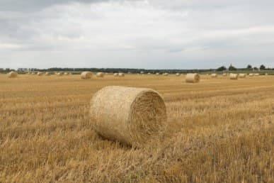 1/1600 c, с профилем