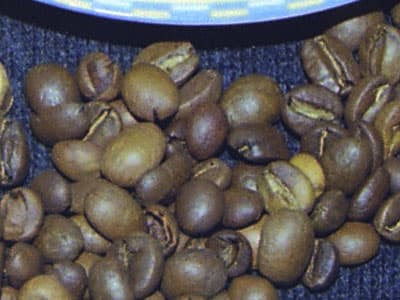 фрагмент 1:1