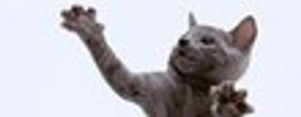 Слух: Activision делает Dance Hero