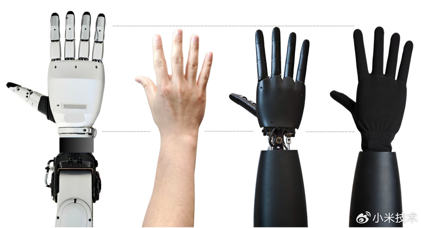 00750fiJly1ibk4jyc5vxj318y0o441q_large.j