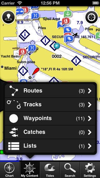 bluechart garmin
