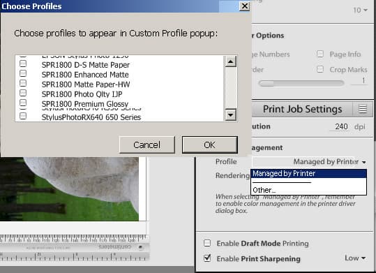 Adobe Lightroom public beta 3