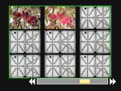 Мультипросмотр