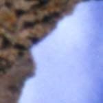 Canon CanoScan 9900F