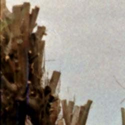 Фрагмент 1:1