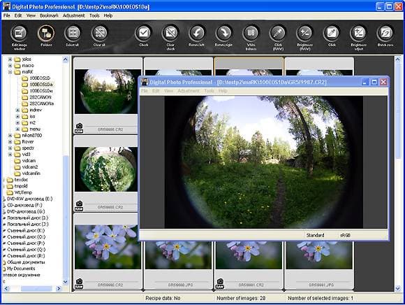 Digital Photo Professional
