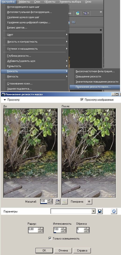 Corel Paint Shop Pro Photo X2