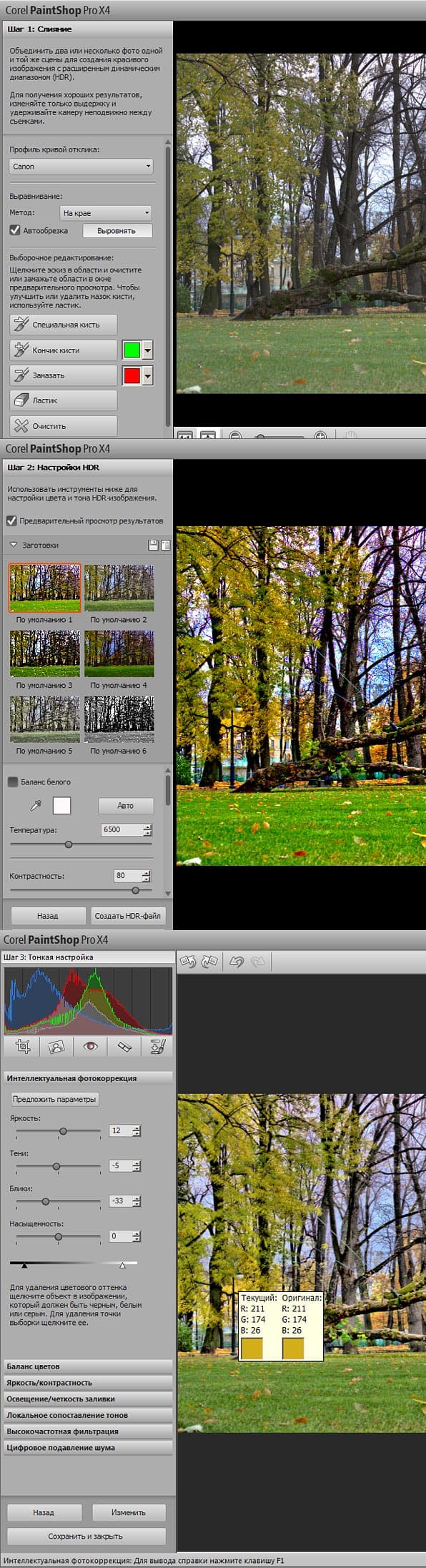 Corel PaintShop Pro X4