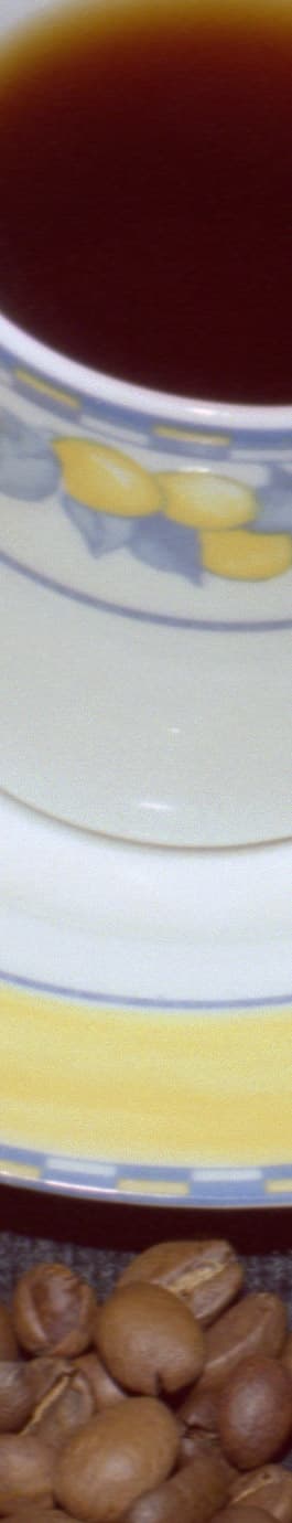 Epson Perfection 4990 Photo