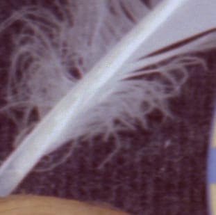 Epson Perfection 4990 Photo